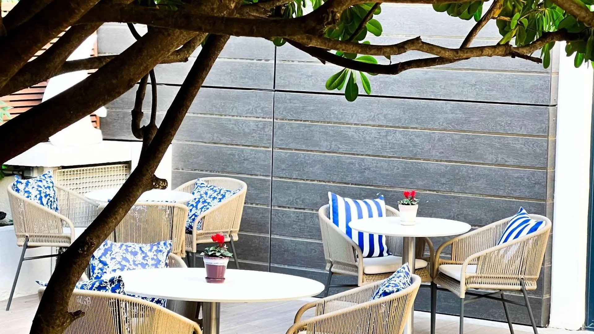 Hotel Croisette Beach Cannes - Mgallery
